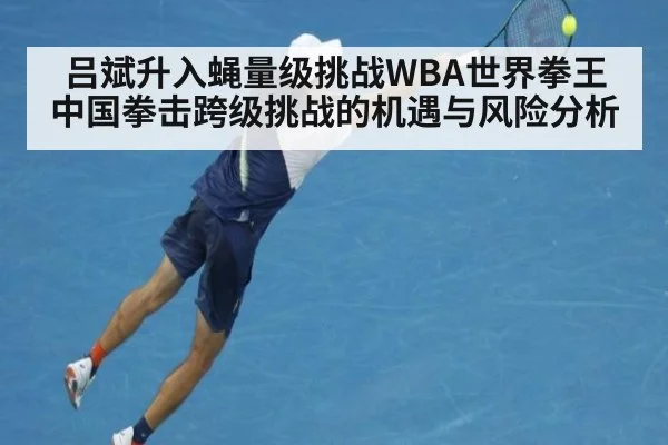 吕斌升入蝇量级挑战WBA世界拳王 中国拳击跨级挑战的机遇与风险分析